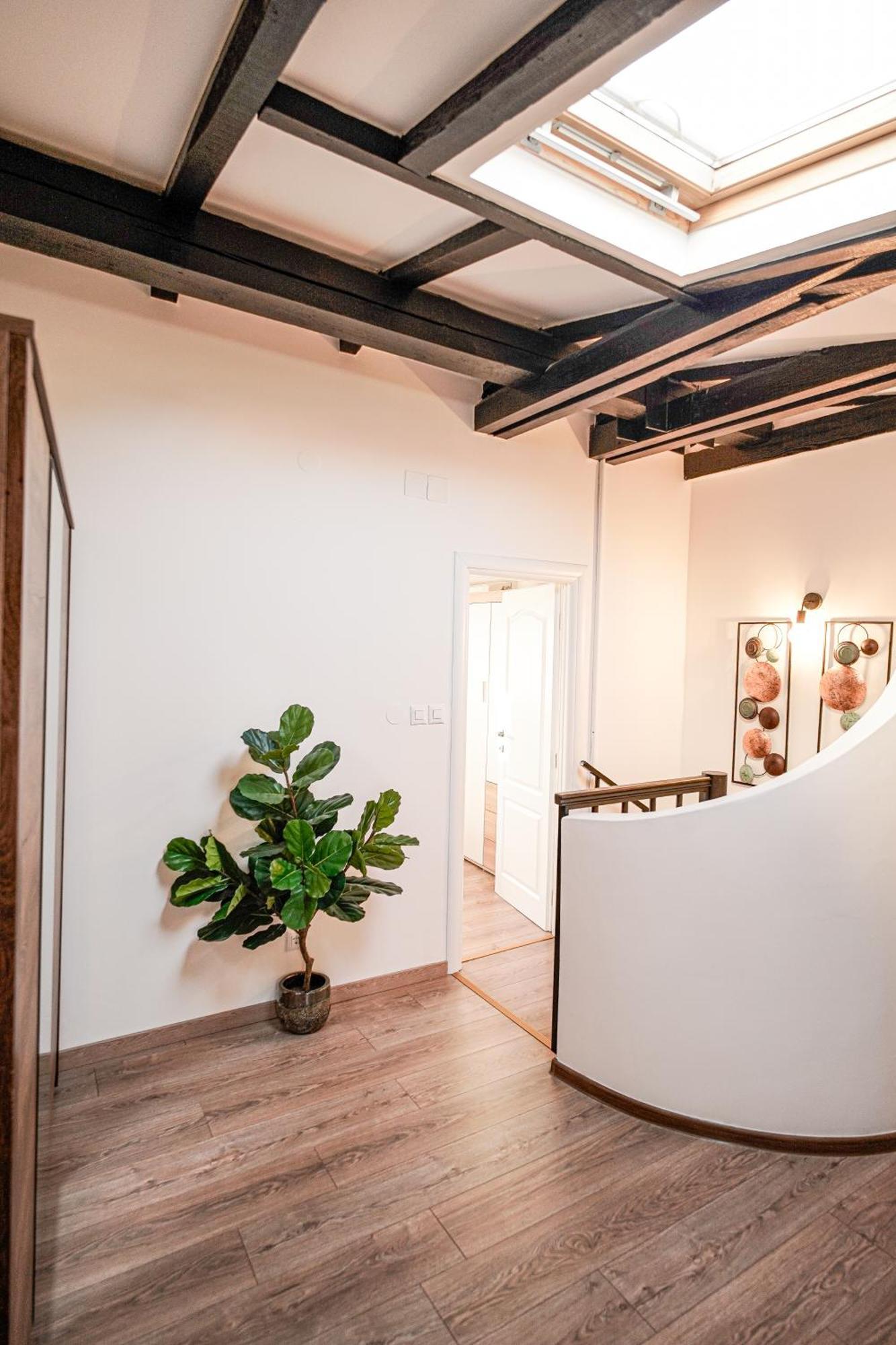 Apartment Rocco Rovigno Esterno foto